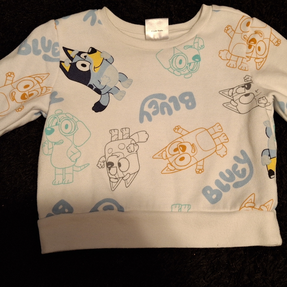 Bluey Kids Sweatshirt - White with Multicolor Characters